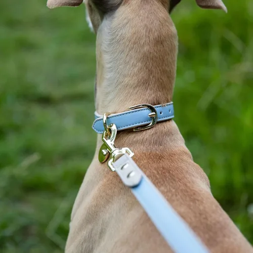 Miniatura 6 de NINA WOOF Correa de cuero para perro, correa delgada con herrajes reforzados, diseño europeo, azul, 4 pies Lila