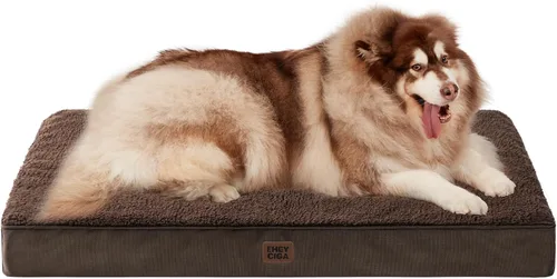 Miniatura 51 de EHEYCIGA Cama ortopédica de espuma para perros grandes, 35 pulgadas de largo x 23 pulgadas de ancho x 3.5 pulgadas de alto, gris claro