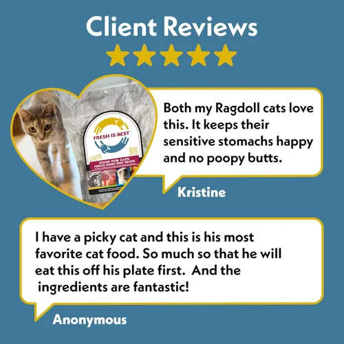 Miniatura 8 de Fresh Is Best Alimento liofilizado de carne de res para gatos, alimento crudo para gatos y felinos adultos, carne de res liofilizada con alto
