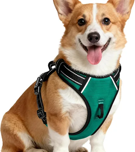 Miniatura 55 de Arnés para perro sin tirones, chaleco reflectante ajustable y acolchado para mascotas con asa de fácil control, fácil de llevar con nudo elegante