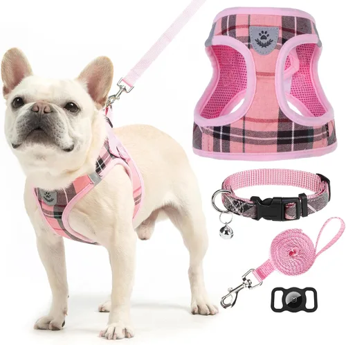 Miniatura 22 de EXPAWLORER Arnés Clásico de Plátanos para Cachorros - Juego de Arnés y Correa para Perros Pequeños - Juego de Collar y Correa para Perros con Azul