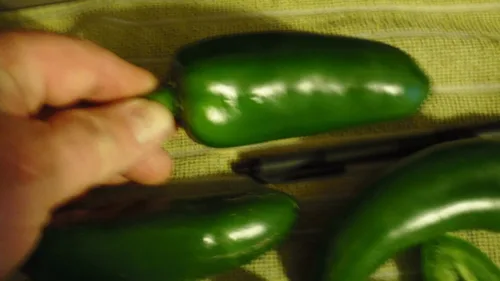 Miniatura 2 de Semillas gigantes de pimienta jalapeño enormes PODS grandes rellenos MILD.(10 - Semillas)