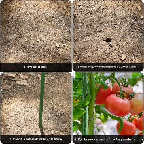 Miniatura 4 de FEED GARDEN Juego de 25 estacas de jardín de 36 pulgadas y 3 pies, soporte de palos de metal resistente para plantas, estacas recubiertas