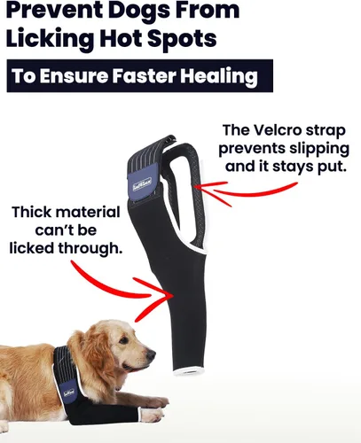 Miniatura 2 de Manga de pierna delantera para perro, XL, cómoda, material transpirable, banda elástica ajustable, para puntos calientes, heridas, vendajes