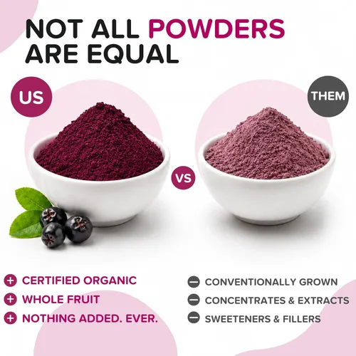 Miniatura 5 de Polvo de bayas de Aronia natural, superalimento de chokeberry negro, alto en antocianinas y polifenoles, apoya el sistema inmunológico