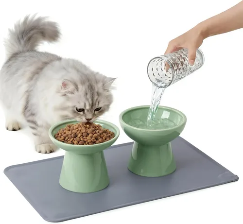Miniatura 14 de CEEFU 2 cuencos elevados de cerámica para gatos extra anchos para alimentos y agua, plato de comida poco profunda, sin plomo ni cadmio, altura Verde
