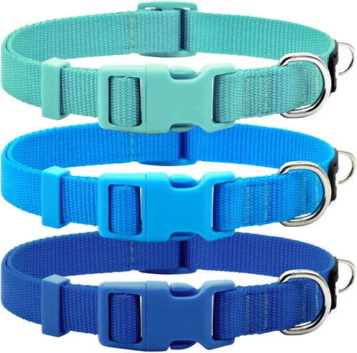 azuza Paquete de 3 collares de perro cómodos y ajustables de nailon para perros pequeños, S (11-16 pulgadas), verde, azul y azul rey 2-4#3 Pack