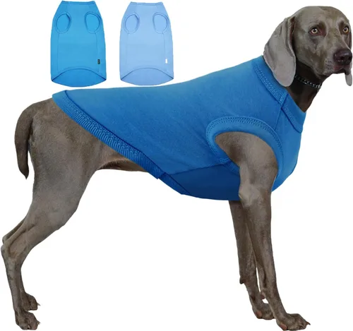 Miniatura 30 de Camisa azul en blanco para perros,Camisetas grandes para perros y niñas,Camiseta lisa de bulldog francés,L azul real Azul y Royal