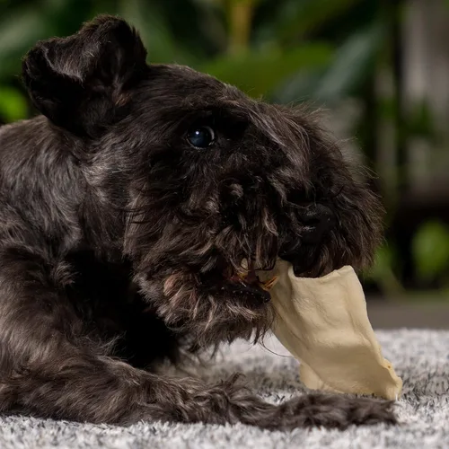 Miniatura 7 de Pet Factory Rollos masticables dentales de cuero de res para perros, 100 % hechos en Estados Unidos, 8 pulgadas, cuero crudo grueso para perros