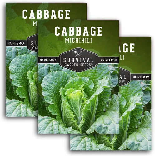 Miniatura 10 de Survival Garden Seeds - Semilla de col Michihili Napa/Nappa para plantar - Paquete con instrucciones para plantar y cultivar verduras Brassica