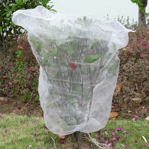 Miniatura 4 de Cubierta de malla para plantas, malla de jardín al aire libre, red para plantas de tomate, cubierta para plantas de mosquito, red de pájaros