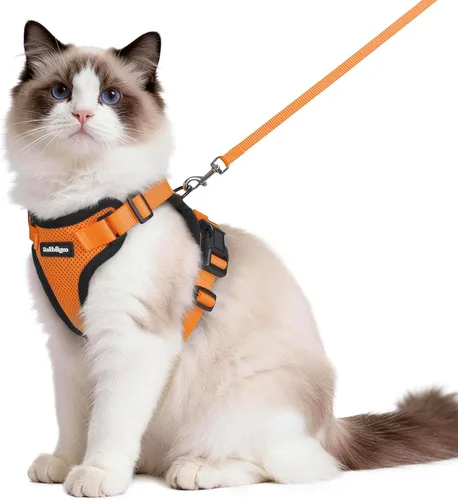 Miniatura 15 de rabbitgoo Juego de arnés y correa para gatos, arnés a prueba de escapes para paseos seguros al aire libre, chaleco suave transpirable ajustable