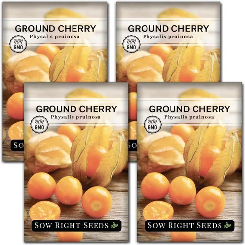 Miniatura 9 de Sow Right Seeds - Semillas de cerezas de tierra para plantar - Paquete de reliquia sin OMG con instrucciones para plantar un jardín de verduras