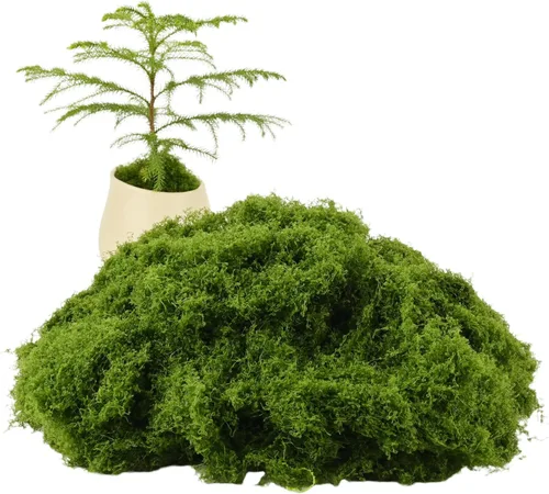 Miniatura 10 de El musgo verde oscuro se utiliza para manualidades, musgo artificial, rellenos de jarrones de vidrio, bodas, Navidad, fiestas verdes de primavera