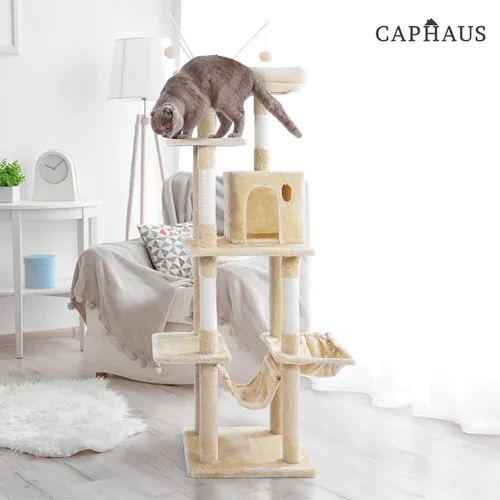 Miniatura 7 de CAPHAUS Torre de escalada alta moderna para juego en interiores para gatos grandes y gatitos, de 70 pulgadas con percha superior, casa cueva
