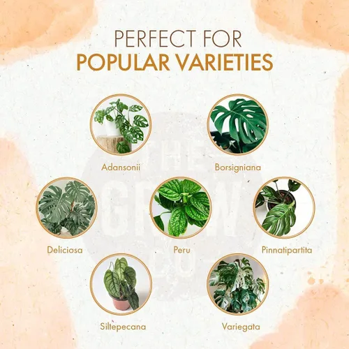 Miniatura 2 de Monstera Plant Food - Fertilizante líquido orgánico para plantas Monstera de interior y exterior, nutrientes para hojas tropicales saludables