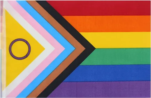 Miniatura 2 de Kind Girl Bandera del orgullo arcoíris, 100 pies/76 piezas triangulares de poliéster decoración de festivales, banderines banderines, suministros