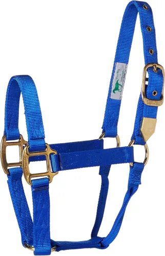 Miniatura 17 de Hamilton Caballo de nailon de 1 pulgada, tamaño pequeño (500-800 libras), azul baya
