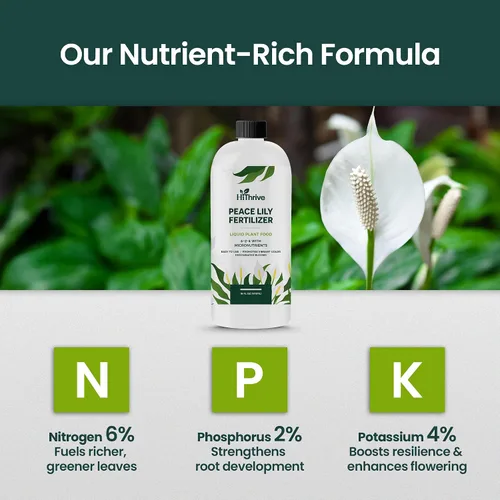 Miniatura 4 de Fertilizante líquido para plantas de lirio de la paz de 16oz - Produce 96 galones de fertilizante para lirio de la paz - Alimento líquido rico