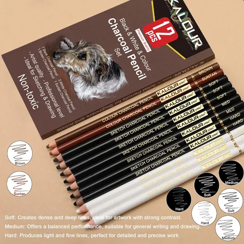 Miniatura 2 de KALOUR Juego de Dibujo de Carboncillo de Colores Pro, 12 Piezas de Lápices de Tiza Pastel para Bocetos, Sombreado, Mezcla, Retrato, Carboncillo