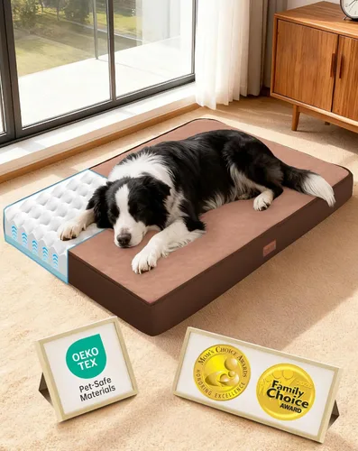Miniatura 16 de OhGeni Cama ortopédica impermeable para perros pequeños, funda extraíble lavable a máquina en tela fácil de limpiar, espuma de alta densidad y asa