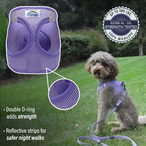 Miniatura 3 de Doggie Design Arnés para perro – Arnés sin estrangulamiento para mascotas, chaleco para perro, malla de poliéster, diseño simple, chaleco