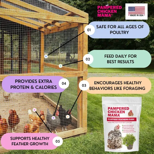 Miniatura 6 de Pampered Chicken Mama Suplemento de muda para pollos: las plumas más esponjosas de la historia Alimento para pollo en el patio trasero y suministros