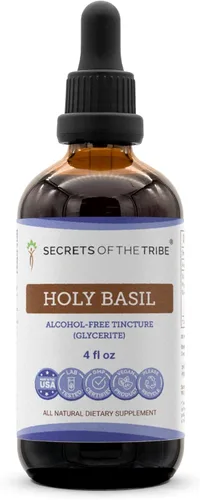 Secrets of the Tribe Tintura de albahaca sagrada extracto sin alcohol, suplemento de tintura de hierbas secas de albahaca santa (Ocimum Tenuiflorum)