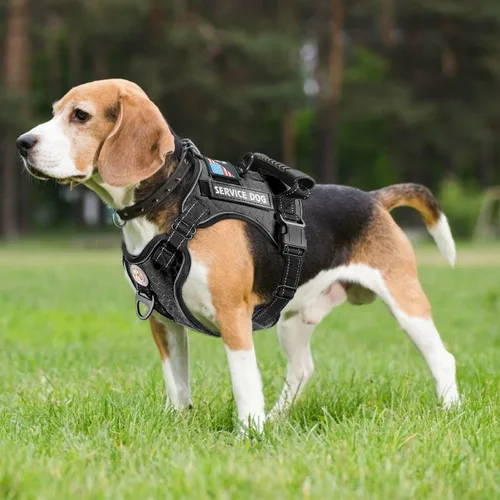 Miniatura 2 de Arnés para perro de servicio Cymiler, juego de arnés y correa sin tirones, arnés ajustable de Oxford reflectante para perro de servicio con asa