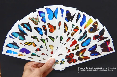 Miniatura 3 de Tatuajes de mariposa temporales coloridos - 5 hojas - por Butterfly Utopia