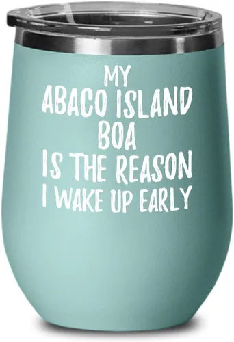 My Abaco Island Boa Is The Reason I Wake Up Early Wine Glass Funny Gift For Lazy Animal Lover Insulated Tumbler With Lid 12 Oz Teal