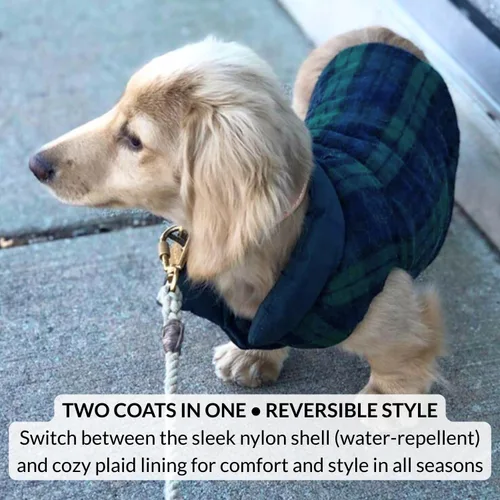 Miniatura 3 de DJANGO Abrigo acolchado reversible para perro – Chaqueta cálida de invierno para perro y abrigo aislante repelente al agua con agujero para arnés