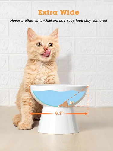 Miniatura 6 de Juego de cuencos elevados para comida y agua de LoeJan para gatos, cuencos de cerámica extra anchos y elevados, comedero anti-vómito sin bigotes