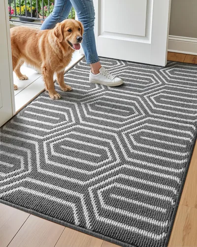 Miniatura 17 de DEXI - Alfombras para puerta de entrada, antideslizante, lavable, absorbente, resistente a la suciedad en el interior, alfombra de entrada de perfil