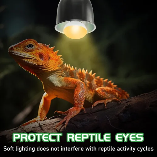 Miniatura 5 de Bombillas de calor para reptiles, paquete de 2 bombillas de calor para reptiles UVA, bombillas de calor de 40 W, luz diurna para lagarto, dragón