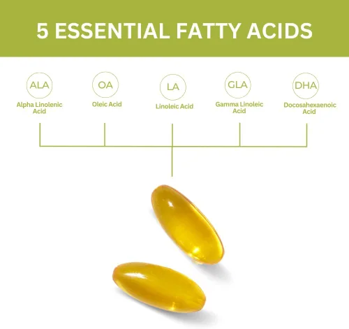 Miniatura 5 de Youngevity Ultimate EFA - Fuente orgánica de ácidos grasos esenciales Omega 3, 6 y 9 Hecho de borraja, lino y aceite de pescado 180