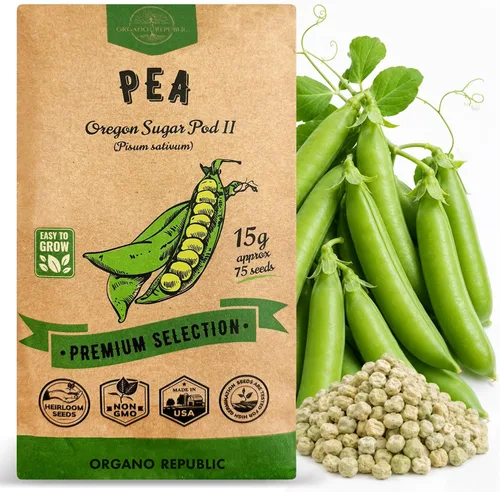 Miniatura 12 de Paquete de semillas de alcachofa Green Globe 2G - Más de 35 semillas autóctonas sin OMG para plantar verduras en paquetes de semillas individuales