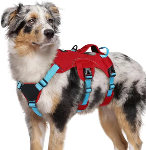 Miniatura 25 de rabbitgoo - Arnés para perro a prueba de fugas, arnés para mascotas acolchado suave de cuerpo completo, chaleco reflectante ajustable sin tirones