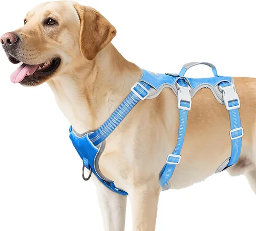 Miniatura 18 de Huntboo Arnés para perro a prueba de escape, arnés reflectante con mango acolchado, transpirable, duradero, chaleco ajustable para perros medianos