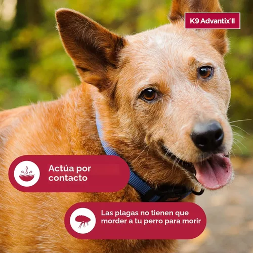 Miniatura 9 de K9 Advantix II - Tratamiento y prevención veterinario recomendado para pulgas, garrapatas y mosquitos para perros grandes Perros 9.5-25 kg