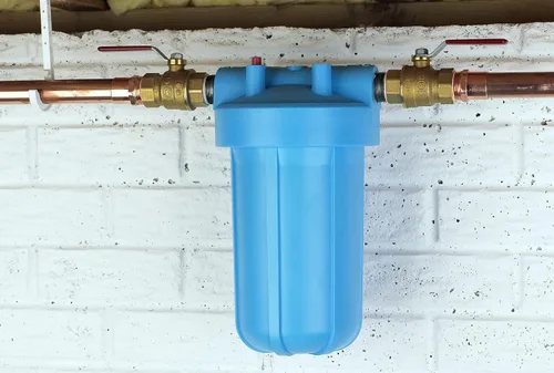 Miniatura 2 de Pentair OMNIFilter BF7 - Sistema de filtración de agua para toda la casa, 10 pulgadas, azul grande, 1 pulgada NPT con alivio de presión, reduce