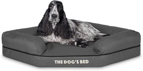 The Dog's Bed - Cama ortopédica de espuma viscoelástica para perro, tela Oxford, gris con ribete negro, mediana