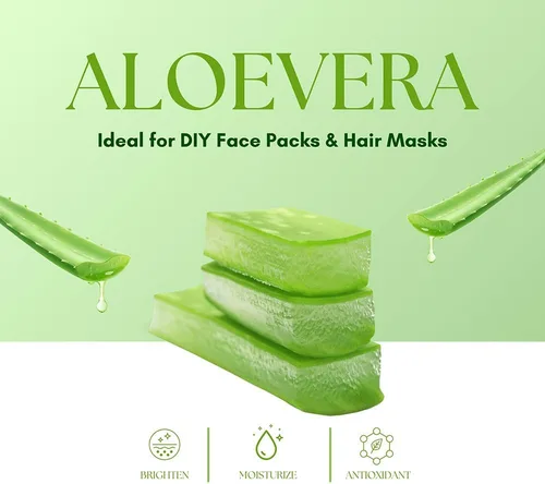 Miniatura 9 de Aloe Vera en polvo orgánico – 227 g (8 oz) Aloe Vera en polvo para cabello y cara Aloe Barbadensis AloeVera, cuidado natural del cabello