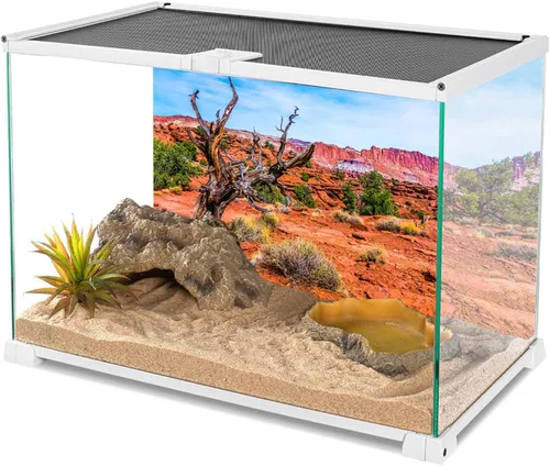 Miniatura 3 de AWERT 24x12 pulgadas Reptil Hábitat Fondo Cielo Azul Oasis Naranja Desierto Terrario Fondo