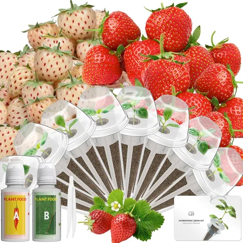LYKOCLEAN Kit de cápsulas de semillas hidropónicas compatible con AeroGarden, Ahopegarden, iDoo, MUFGA, 8 cápsulas completas para cultivar cualquier