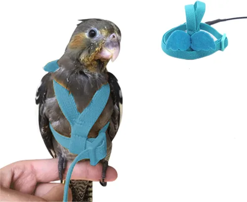 Miniatura 4 de Arnés para pájaros, correa de loro, kit ajustable para volar al aire libre para loro, budgie, tortolito, cacatúa, guacamayo (morado, S)