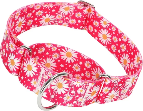 Miniatura 11 de Collar Martingale para Perro de 1.5 Pulgadas de Ancho - Diseño de Calavera Extra Resistente para Perros Grandes, Collar de Entrenamiento Ajustable