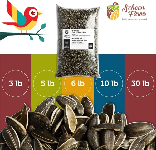 Miniatura 6 de Schoen Farms Semillas de girasol a rayas – Alimento para pájaros – Bolsa de 3 libras – Limpio, Semilla de pájaro para pinzones, arrendajos