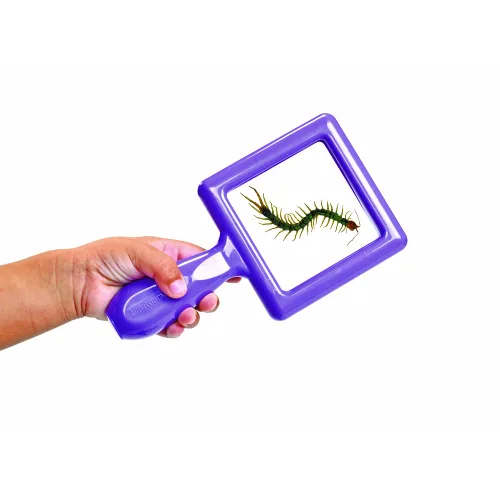 Miniatura 6 de Environments Juego de 4 visores de especímenes para niños pequeños (artículo # ESPECITOD)