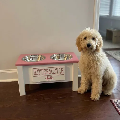 Miniatura 60 de GrooveThis Woodshop Soporte Personalizado de Cuenco Elevado para Perros de Tamaño Grande, Mediano, Pequeño y Extra Pequeño - Cuencos de Acero Negro